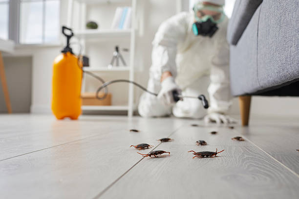 Commercial Kitchen Cockroach Control in Mountain Lake